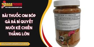 bài thuốc om bóp gà đá