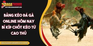 bảng kèo đá gà online hôm nay