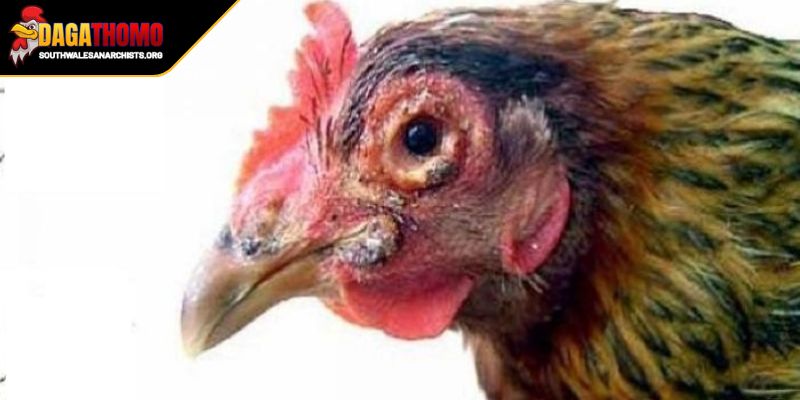 Những vấn đề cần đặc biệt lưu ý tránh rủi ro không đáng