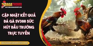 cập nhật kết quả đá gà SV388