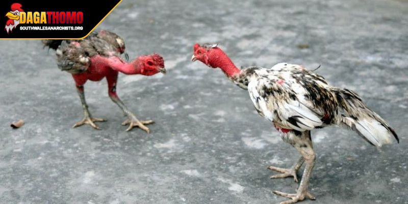 Thường xuyên theo dõi đồng thời kiểm tra toàn diện