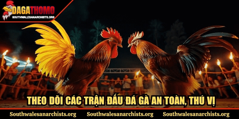 Trang Chủ 15 Theo dõi các trận đấu đá gà an toàn, thú vị