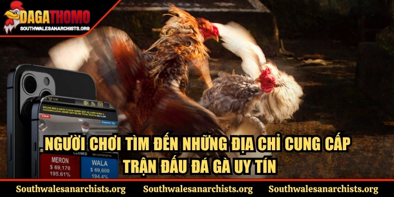 Trang Chủ 16 Người chơi tìm đến những địa chỉ cung cấp trận đấu đá gà uy tín