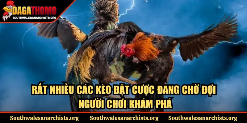 Trang Chủ 13 Rất nhiều các kèo đặt cược đang chờ đợi người chơi khám phá