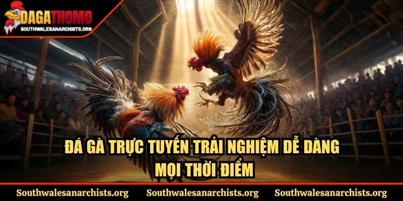 Trang Chủ 14 Đá gà trực tuyến trải nghiệm dễ dàng mọi thời điểm