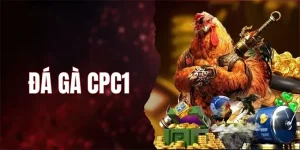 dg c1