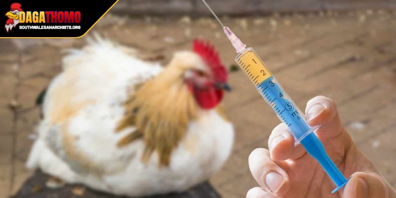 Thực hiện phòng ngừa cùng các biện pháp chủ động thông minh