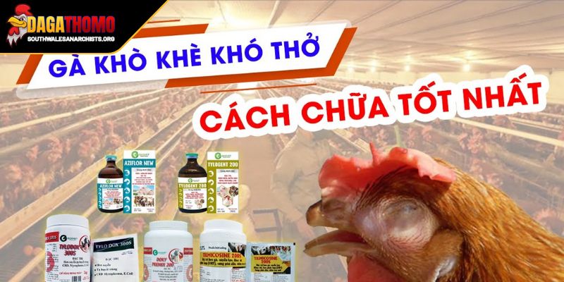 Phương pháp chăm sóc với thuốc tây nếu kê bị nặng