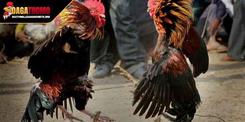 Những vấn đề đặc biệt chú ý tránh rủi ro không đáng có