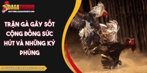 Trận gà gây sốt cộng đồng